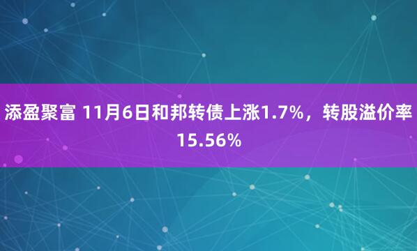 添盈聚富 11月6日和邦转债上涨1.7%，转股溢价率15.56%