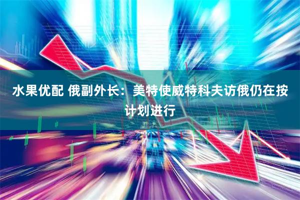 水果优配 俄副外长：美特使威特科夫访俄仍在按计划进行