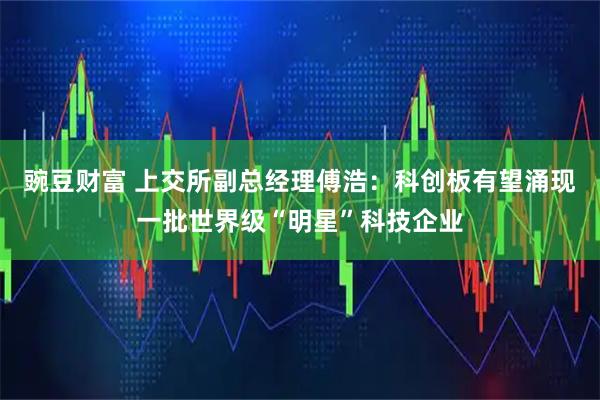 豌豆财富 上交所副总经理傅浩：科创板有望涌现一批世界级“明星”科技企业